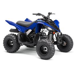 RAPTOR 90