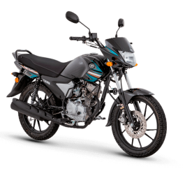 YCZ 110